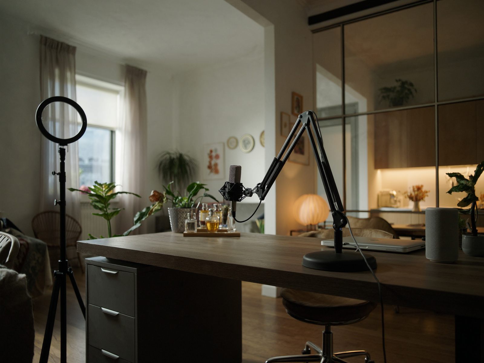 A desk set up with a microphone and a ring light