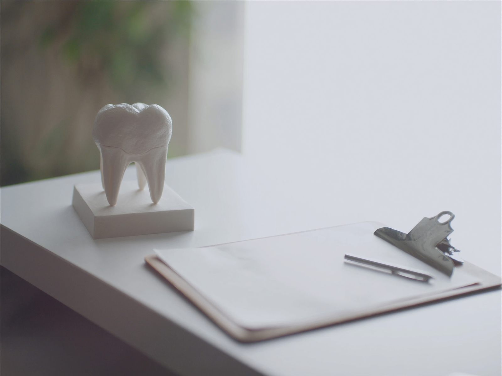 A model of teeth and a clipboard on a consultation desk