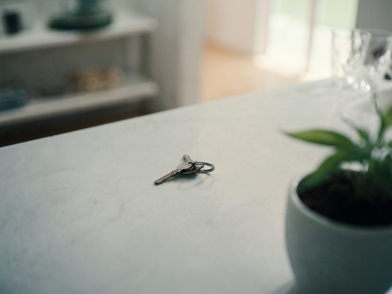 House keys and a plant on a kitchen island