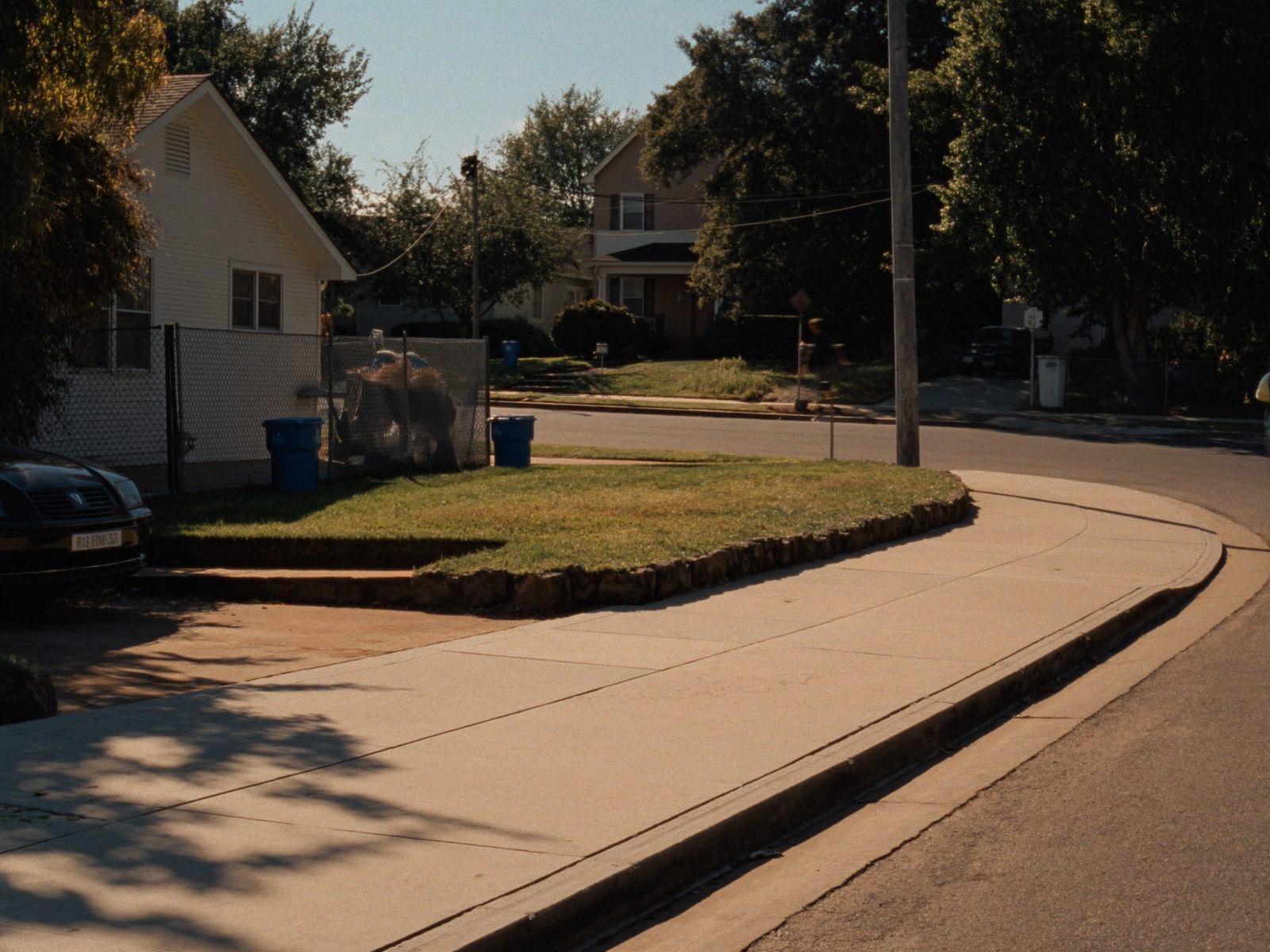 A tree-lined suburban street of family homes